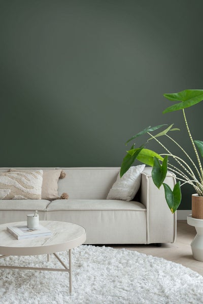 ESTAhome Wandfarbe matt  Dunkelgrün - 2 l / ca. 18 m² - 191006