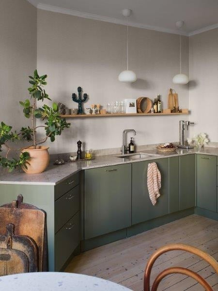 Küchenszene mit Pflanze, Regal und Spüle