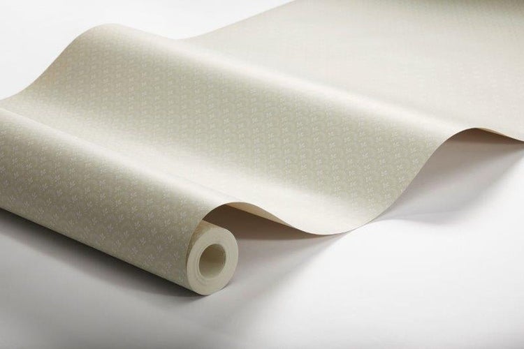 Goldhopfenpflanze im Topf