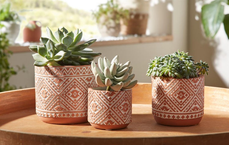 Dekoleidenschaft 3x Blumentopf Terra aus Zement in Terracotta Optik / weiß, Übertopf Set, Pflanztopf, Pflanzgefäß