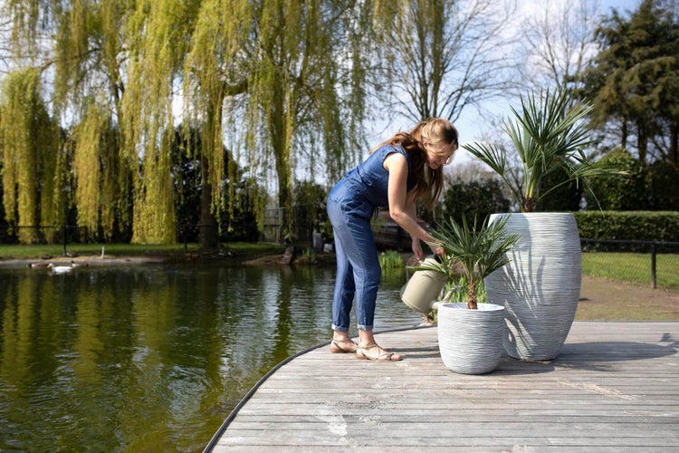 Frau gießt Palme in strukturiertem Pflanzgefäß auf einer Holzterrasse an einem Teich im Garten.