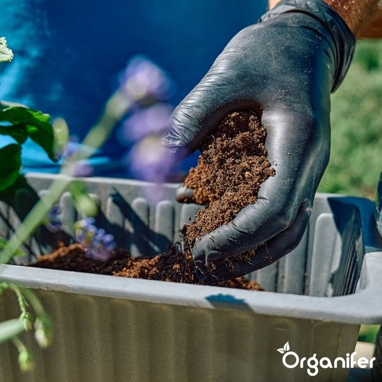 Eine Hand mit Gartenhandschuh füllt Pflanzerde in einen Pflanzkasten.