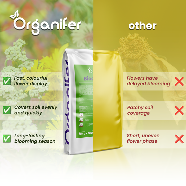 Organifer Logo und Vergleich der Biodiversitätsmischung mit anderen Produkten, zeigt Vorteile wie schnelle Blüte und gleichmäßige Bodenabdeckung.