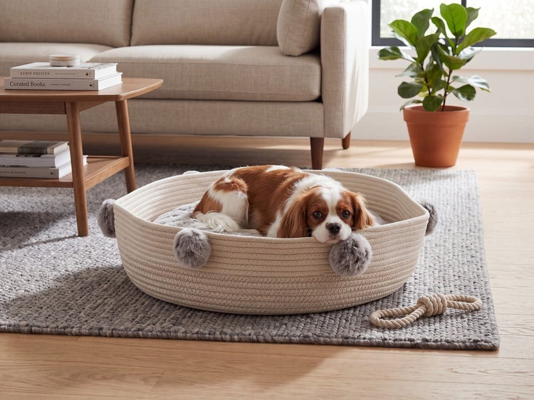 Ein Hund liegt in einem runden Hundekörbchen aus geflochtenem Baumwollseil mit Bommel-Details in einem hell eingerichteten Wohnzimmer.