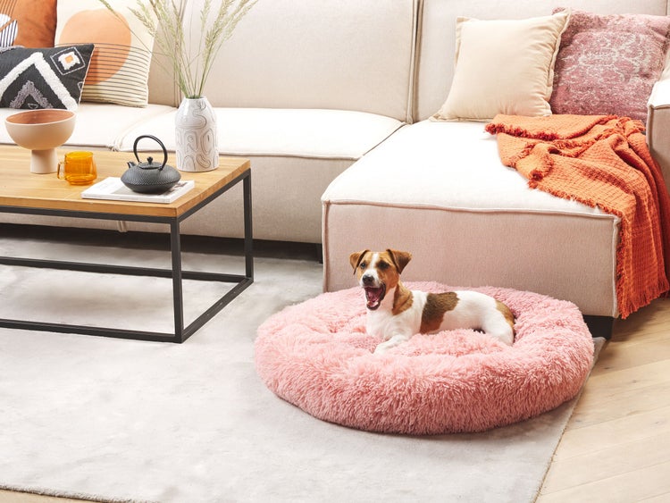 Ein kleiner Hund liegt auf einem flauschigen, runden Donut-Hundebett in Rosa in einem hellen Wohnzimmer mit Sofa und Couchtisch.
