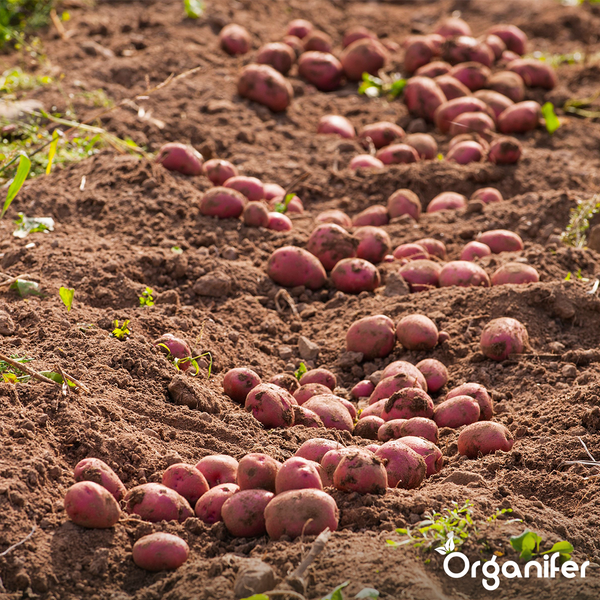 Türöffner für den Einsatz in Türen