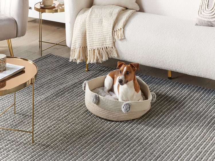 Festool Systainer Werkzeugkoffer für die Aufbewahrung und den Transport von Werkzeugen.