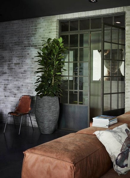 Modernes Wohnzimmer im Industriedesign mit großer grüner Pflanze in strukturiertem Pflanzgefäß, Ziegelwand und Metall-Glastür.