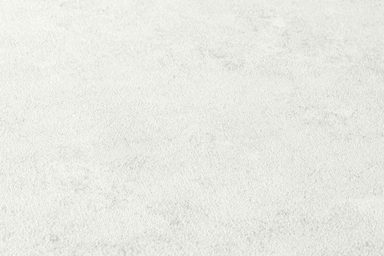 Dekoratives Schild mit der Aufschrift Scheiss' auf den Prinzen! Ich nehm den Hund!