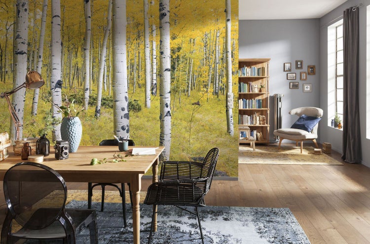 Einrichtung eines hellen Raumes mit Fototapete mit Birkenmotiv, Holztisch, Stühlen und Bücherregal.