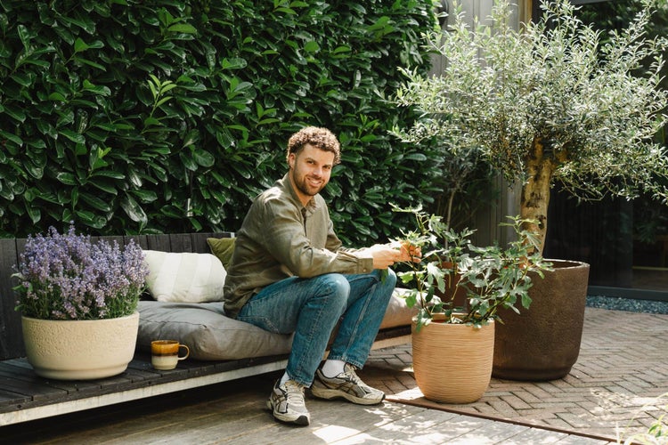 Ein Mann sitzt auf einer modernen Gartenbank vor einer Hecke auf einer Terrasse mit verschiedenen Topfpflanzen und einem Olivenbaum.