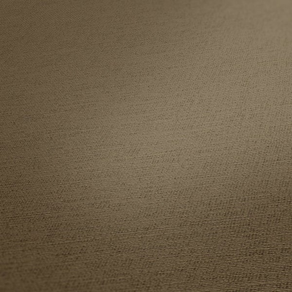 Kieferpflanze im Gartenbeet