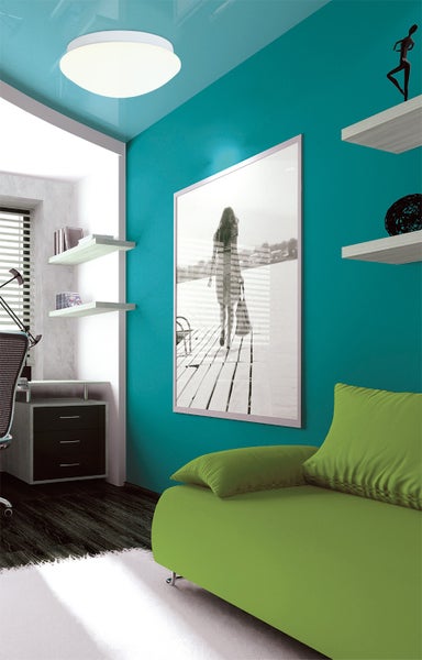 Wohnzimmer mit Deckenleuchte, Regal und Sofa