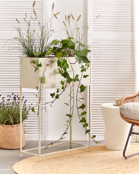 Oktaplex Lighting Lile Deckenleuchte, schwenkbar, Abmessungen