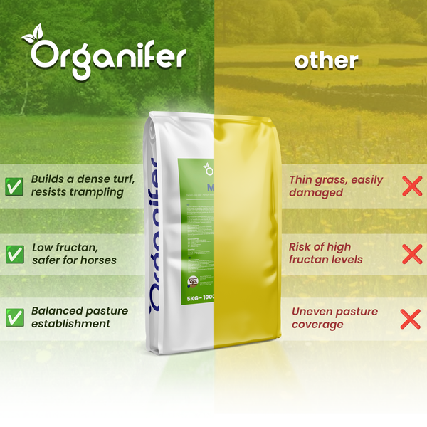 Organifer Logo. Vergleich von Organifer Grassamen mit anderen. Vorteile: dichter Rasen, trittfest, niedriger Fruktangehalt, sicher für Pferde.