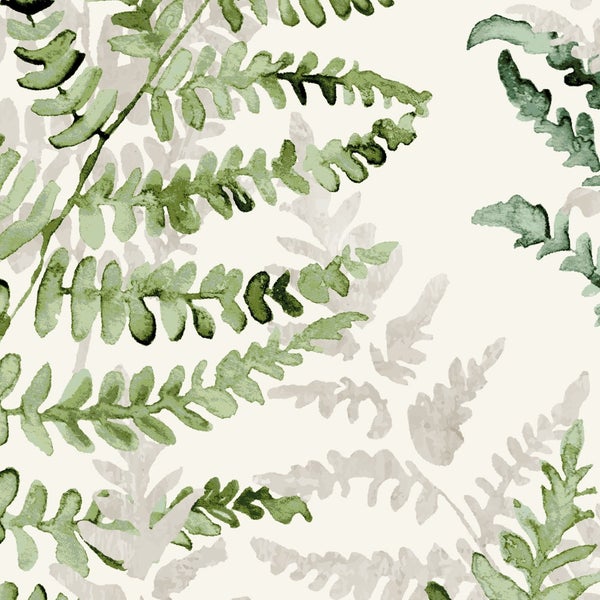 Illustration von Farnblättern als dekoratives Element