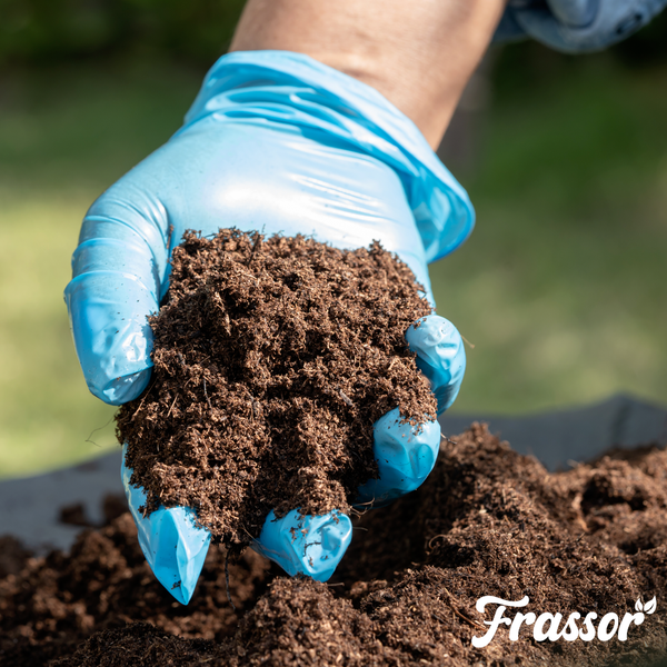 Organifer Eukalyptus Dünger, organisches Düngerkonzentrat, 2 Liter Flasche, ausreichend für 2000 Liter, mit Messkappe.