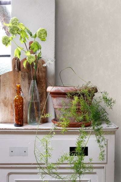 Dekorative Szene mit Blumen, Topfpflanze und Holzschneidebrettern auf einer Kommode