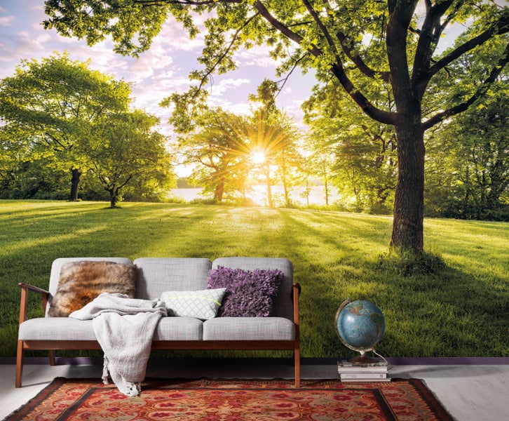 Fototapete mit Waldlandschaft und Sofa im Vordergrund