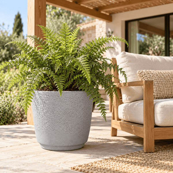 Ein großer, strukturierter Pflanztopf mit einem Farn auf einer sonnigen Terrasse neben einem modernen Holzsofa.