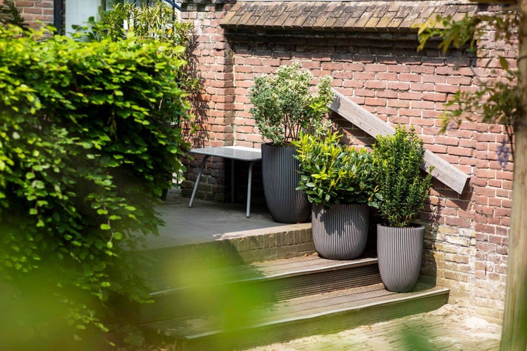 Drei hohe Pflanzkübel mit vertikaler Riffelstruktur auf Gartenstufen vor einer Backsteinwand, bepflanzt mit Sträuchern.