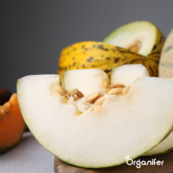 Obstsaatgutpaket - 13 Arten - Organifer