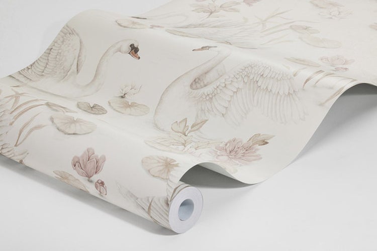 Feld von Margeriten mit gelben und roten Blüten