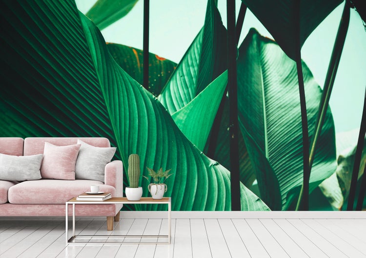 Fototapete mit großen tropischen Blättern in einem Wohnzimmer mit rosa Sofa und weißem Dielenboden.