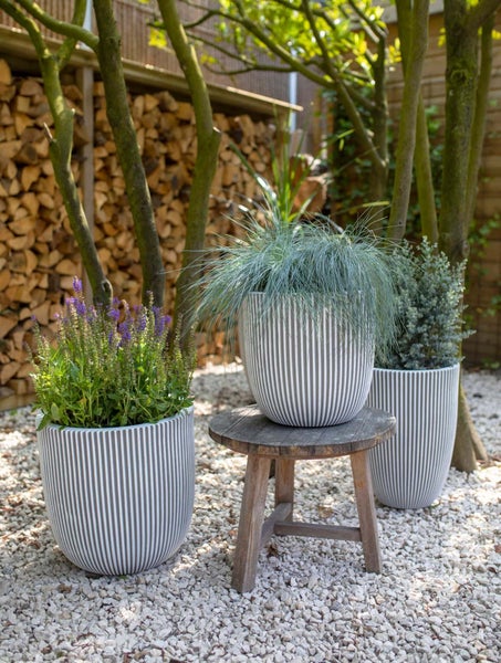 Drei runde Pflanztöpfe mit vertikalen Streifen im Garten, einer auf einem Holzhocker, bepflanzt mit violetten Blumen und Gräsern.