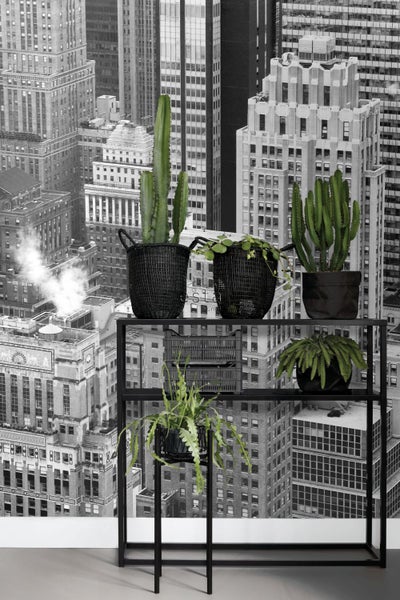 Regal mit mehreren Pflanzen vor einer Fototapete mit Stadtansicht