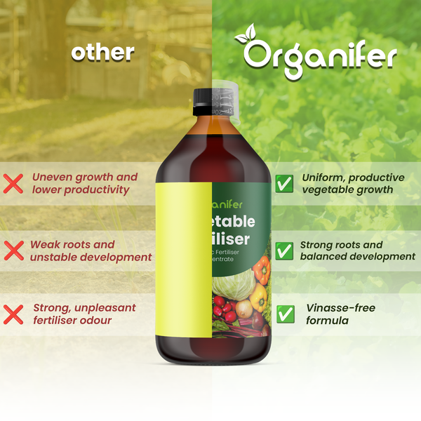 Vergleich von Organifer Gemüsedünger mit herkömmlichen Produkten für gleichmäßiges Wachstum, kräftige Wurzeln und geruchsneutrale Anwendung.