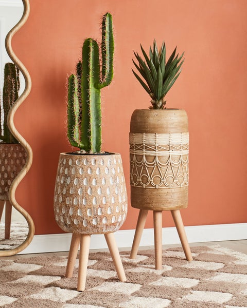 Dekorative Zimmerpflanzen in strukturierten Übertöpfen auf Holzfüßen
