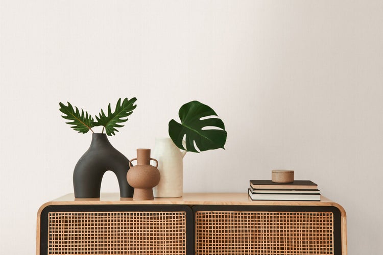 Dekorative Vasen mit Grünpflanzen auf einem Sideboard mit Rattanfront.