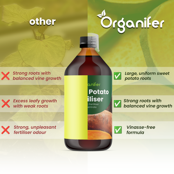 Organifer Logo. Vergleich von Süßkartoffeldünger mit anderen Produkten, zeigt Vorteile wie kräftige Wurzeln und eine vinassefreie Formel.