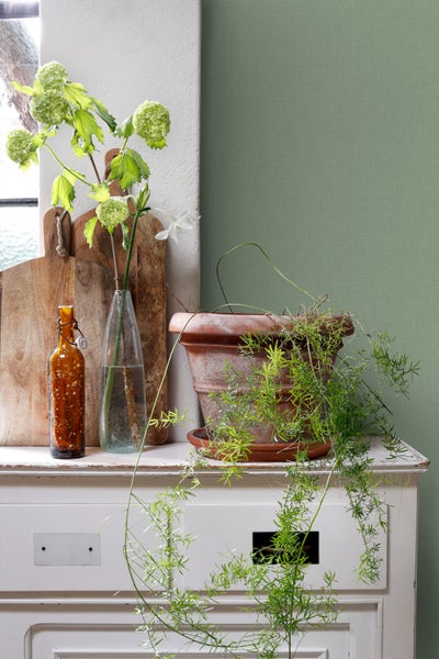 Dekorative Szene mit Zimmerpflanze im Topf und Blumen in Vasen auf einer Kommode vor einer grünen Wand