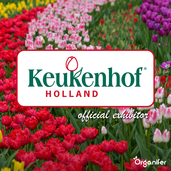 Keukenhof Holland Logo und Schriftzug offizieller Aussteller vor einem Tulpenfeld in verschiedenen Farben
