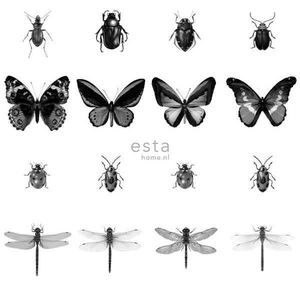 ESTAhome XXL-Vliestapete Zeichnungen von Insekten Schwarz-Weiß - 50 x 900 cm - 158827