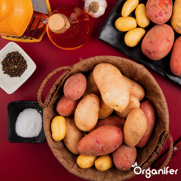 Gelbe und rote Zwiebeln in einer Nahaufnahme.