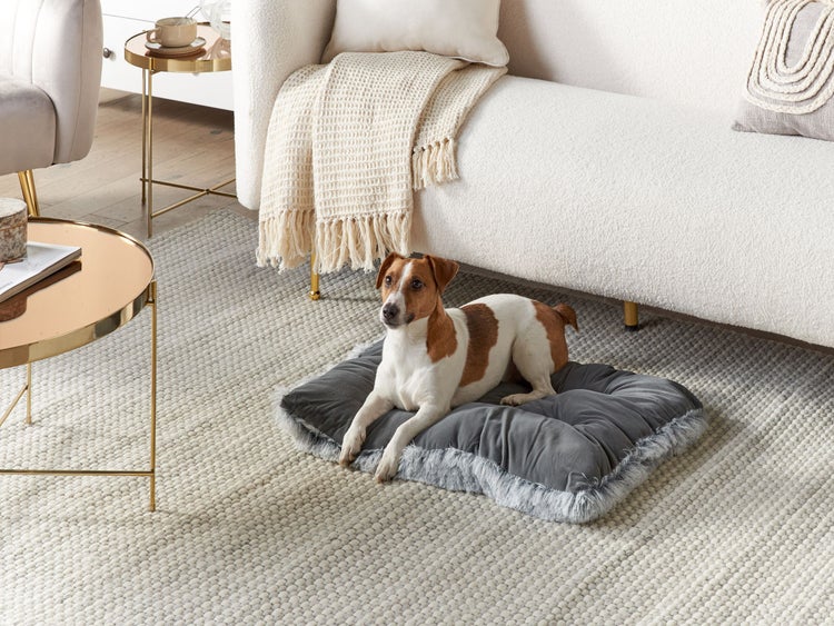 Skizze eines Hundekissens mit den Maßen 60 mal 45 mal 10 Zentimeter und einer Toleranz von plus minus 2 Zentimetern.