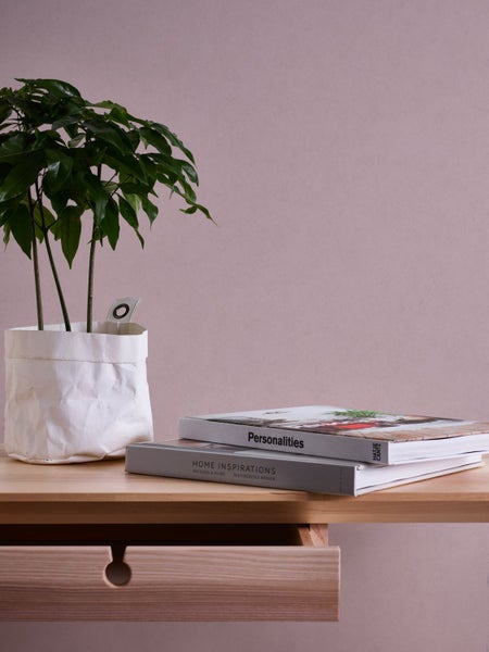 Dekoratives Arrangement mit Zimmerpflanze in Papiertüte und Büchern auf einem Holztisch mit Schublade