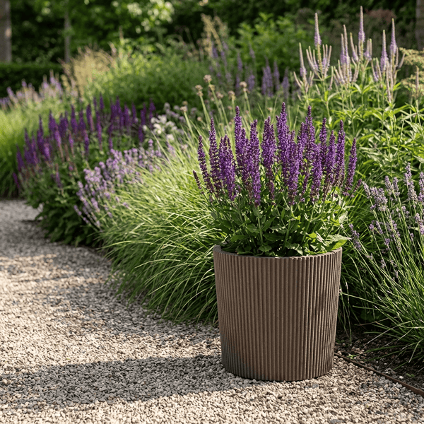 Brauner Pflanztopf mit vertikalem Rillenmuster und violetter Salbei-Pflanze auf einem hellen Kiesweg in einer Gartenanlage.
