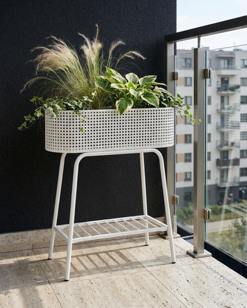 Hochbeet aus weißem Metall auf einem Balkon, bepflanzt mit verschiedenen Grünpflanzen und Gräsern, mit einer Ablagefläche unten.