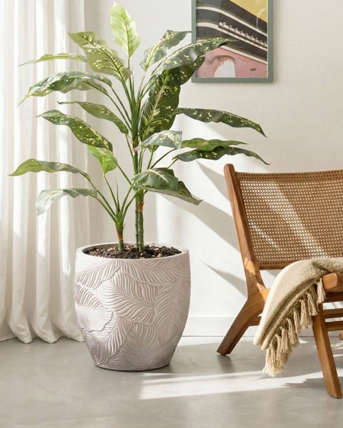 Dekorative Zimmerpflanze in einem Pflanzgefäß mit Blattmuster neben einem Holzstuhl