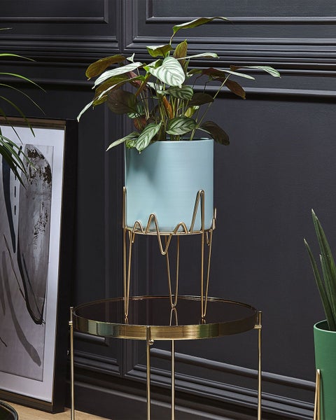 Abmessungen eines Pflanzgefäßes mit Ständer: 19 Zentimeter Durchmesser, 39 Zentimeter Gesamthöhe