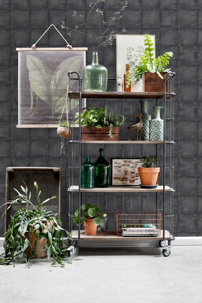 Dekoratives Regal mit Pflanzen, Flaschen und verschiedenen Dekorationselementen