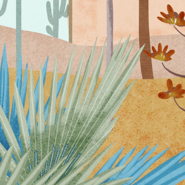 Illustration einer Wüstenlandschaft mit Kakteen und Palmen