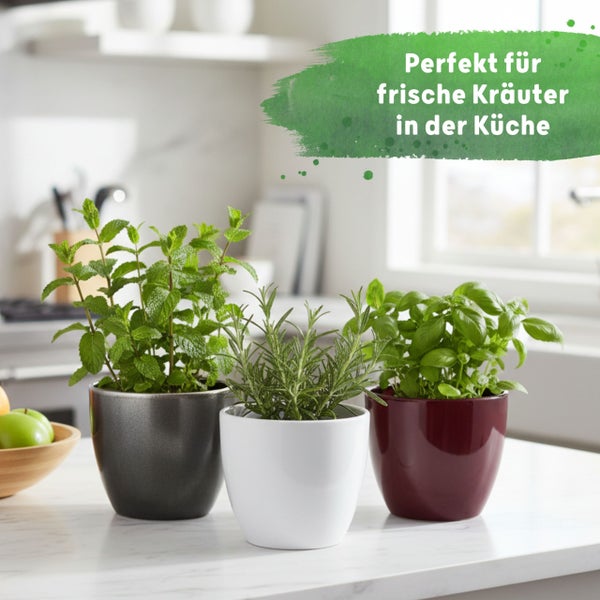 Drei kleine Kräutertöpfe mit Minze, Rosmarin und Basilikum auf einer hellen Arbeitsplatte in einer hellen, modernen Küche.