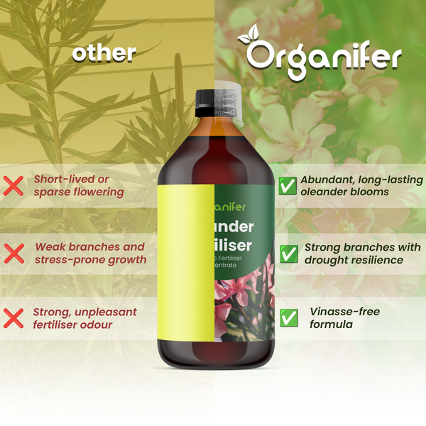 Vergleich von Organifer Oleander-Dünger mit anderen Produkten. Organifer Logo. Fördert üppige Blüten, starke Zweige und ist vinassefrei.