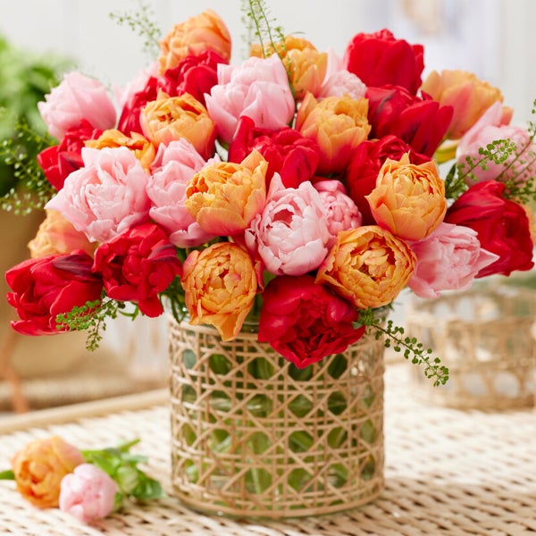 Bloomique – 20er-Mix – Tulipa Double Mix – gefüllte Blumen – Tulpenzwiebeln – Farbmischung – Blumenzwiebeln – Frühlingsblüte – mehrjährige Pflanzen – wird bis zu 35–40 cm groß