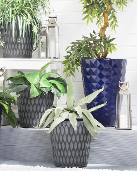 Arrangement aus Zimmerpflanzen in strukturierten Pflanzgefäßen und dekorativen Laternen auf einem Regal